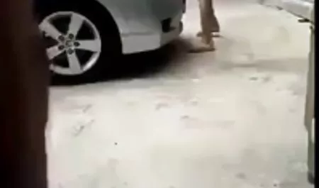 ટીએમ અને LL પોર્ન વીડિયો જોવા માટે